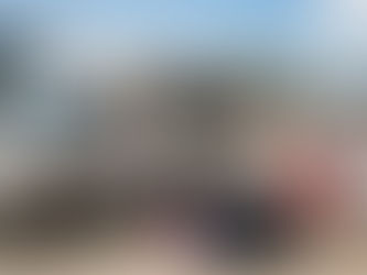 Need a ride to the Galveston Cruise Terminal?