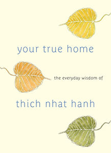 Find your true home.jpeg