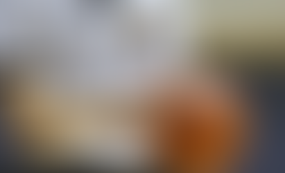 インテグリティ_0509