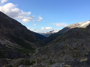 IMG_7933.jpeg