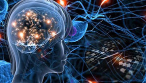 MEASURING AND MANAGING THE KNOWLEDGE IN THE INTANGIBLE ECONOMY