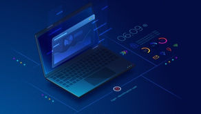 ERP is just a component in the extended Enterprise Business Management System