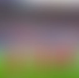 Biletul zilei 01 mar 2019