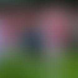 Biletul zilei 9 nov 2018