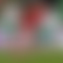 Pontul Zilei 16 feb 2019