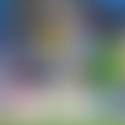 Pontul Zilei 26 feb 2019