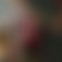 Bletul Zilei 8 feb 2019