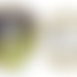 Pontul Zilei 11 ian 2019