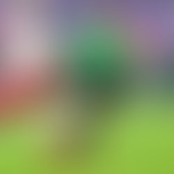 Biletul zilei 01 feb 2019