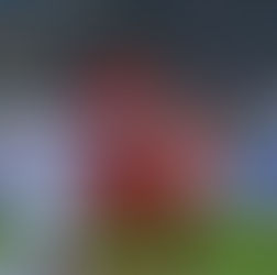 Pontul Zilei 24 feb 2019