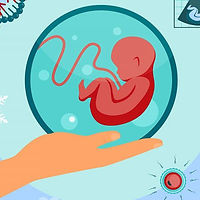 embryo donor
