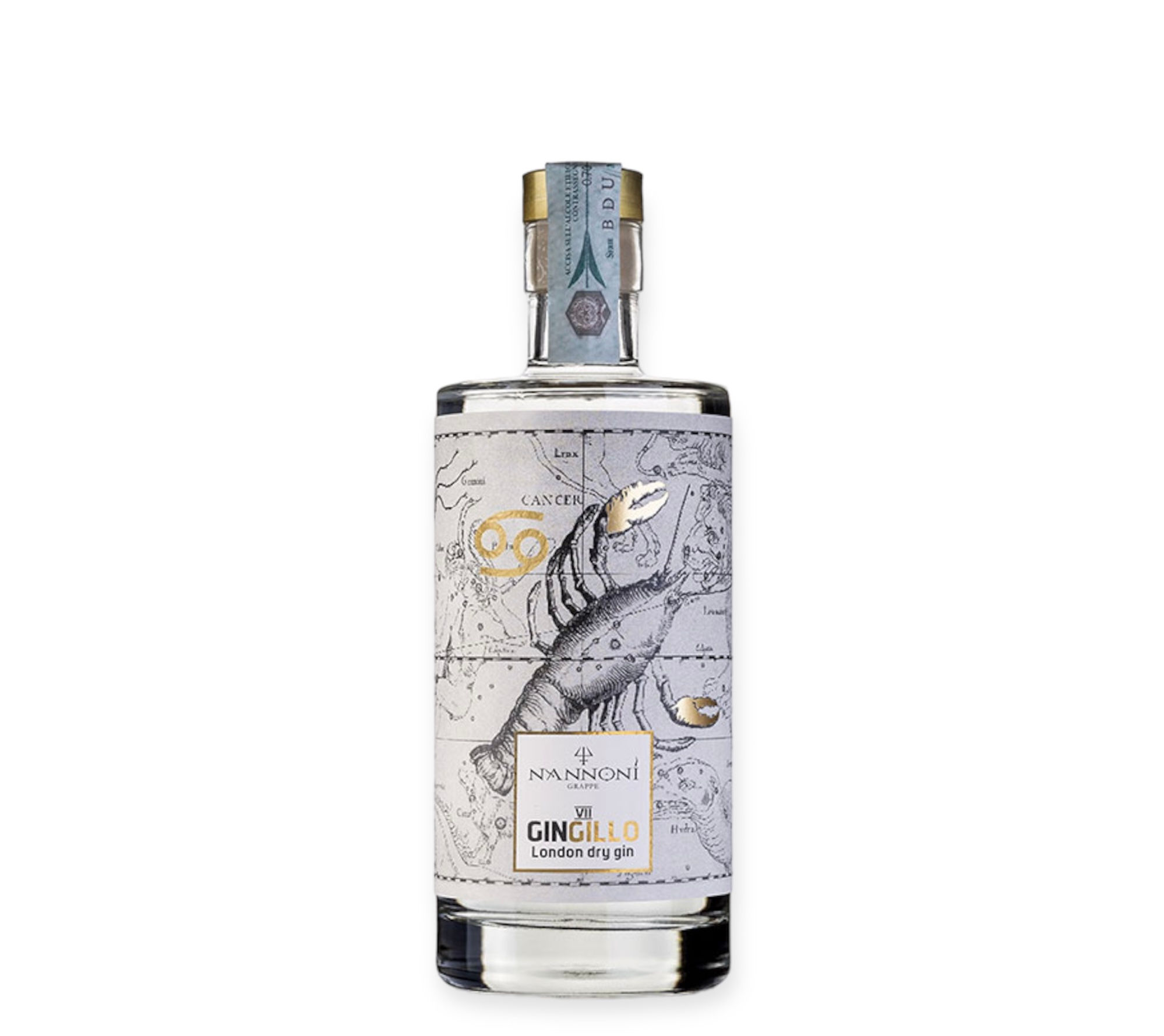 Gin Nannoni Gingillo VII Cancro