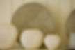 3 White Vases