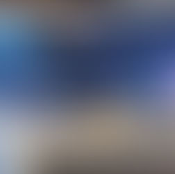 Whole of Society to rally against the threat of Radicalism