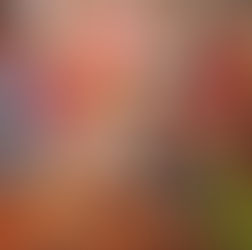 Jejak warisan sejarah di kawasan Bencoolen