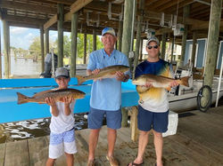 cf3f54e66690fe7e6e8e533aed19b14d