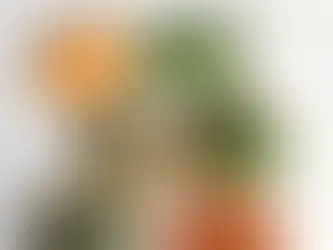 How to Stop Procrastinating and Start Living Healthy