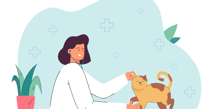 When to Deworm your Cat