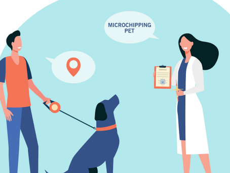 Unleashing the Benefits : Understanding Pet Health Insurance