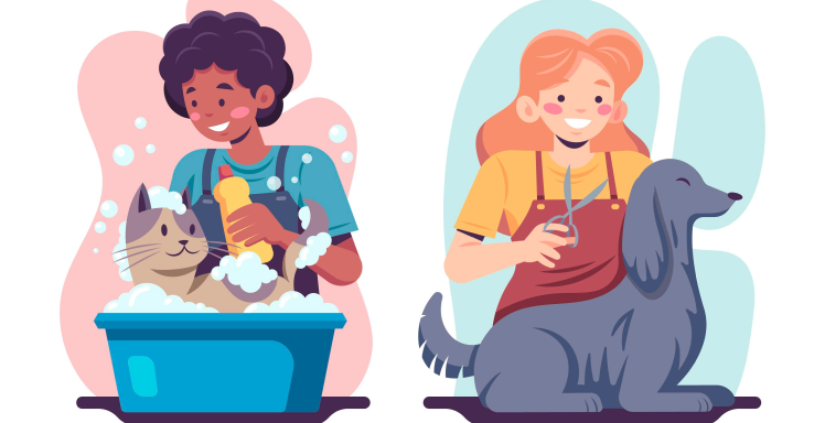 Pet Grooming at Home