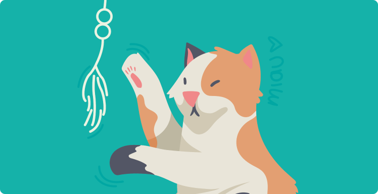 A cat playing with toy