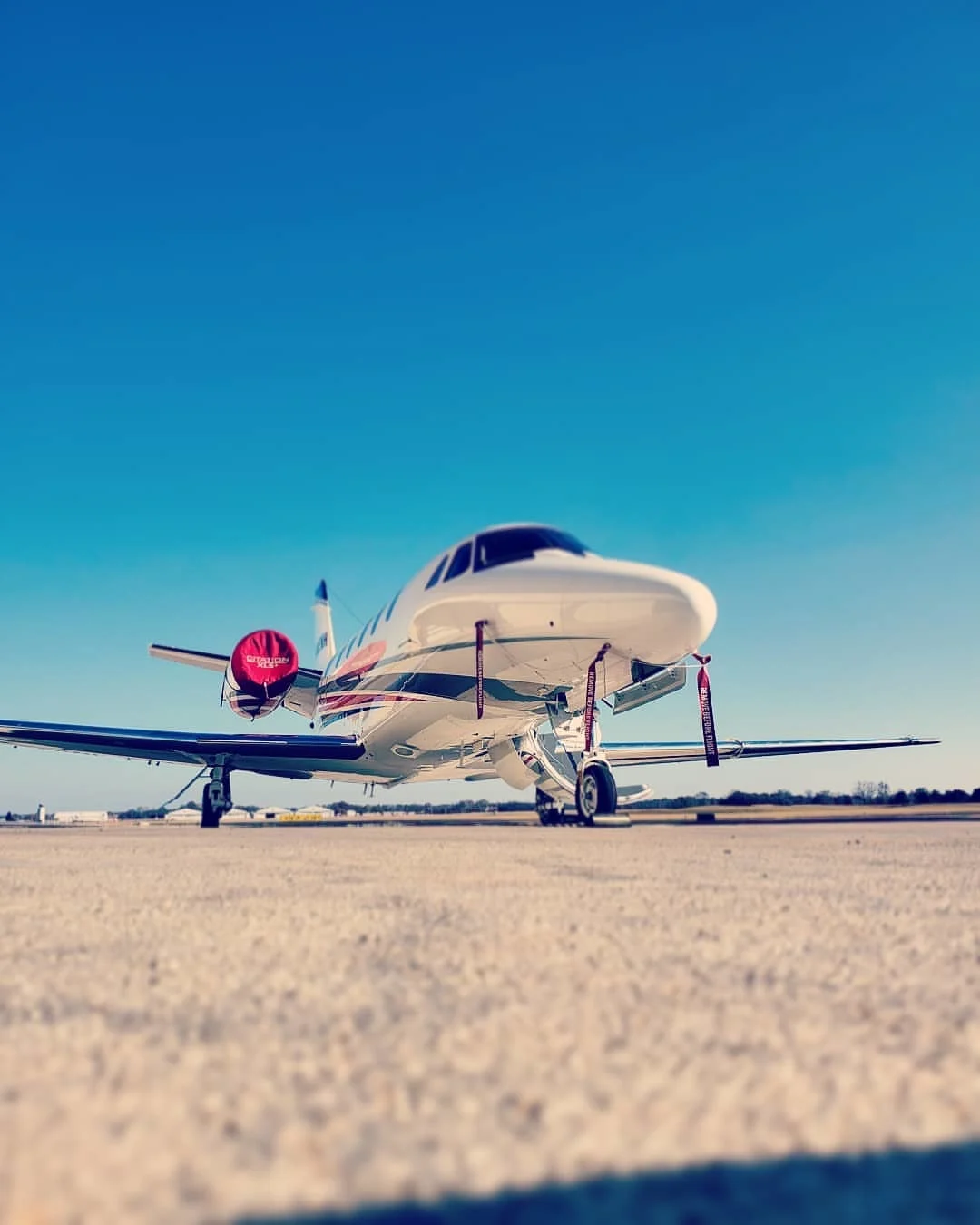 Paul C. Buff LINK 800 Flash Unit