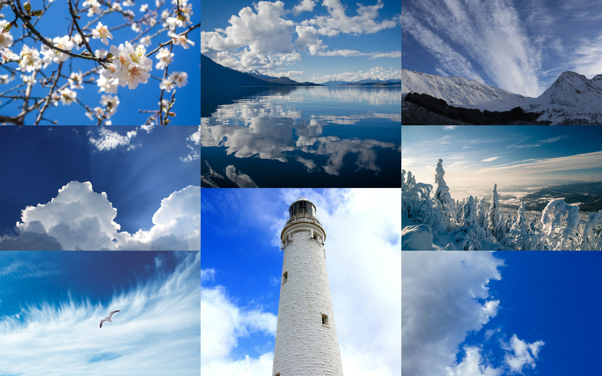 Artistic BLUE
