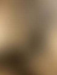 Growing Up with Charro Days in Brownsville, Texas