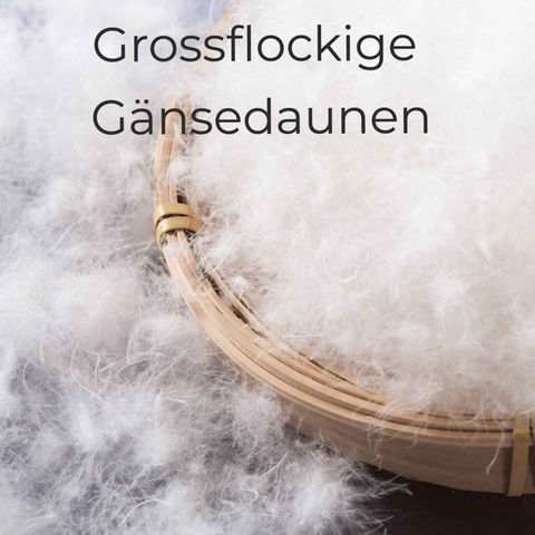 Duvet Noblesse Gänse Grossflockige Gänsedaunen