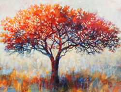 Bushveld Fresh