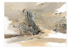 Zebras and Foal - GH007