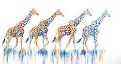 Four Giraffes