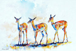 Three Impala in the Morning Sun