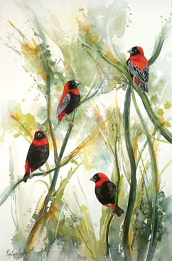 Red Bishops in the Reeds