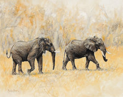 Jaunty Elephants