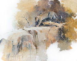 Leopard on the Rocks - GH008
