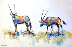 Oryx Gazella