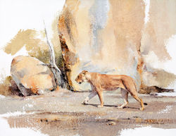 Lioness in full stride - GH020