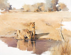 Lionesses - GH006