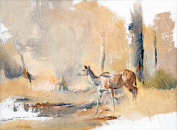Kudu Female - Gh019