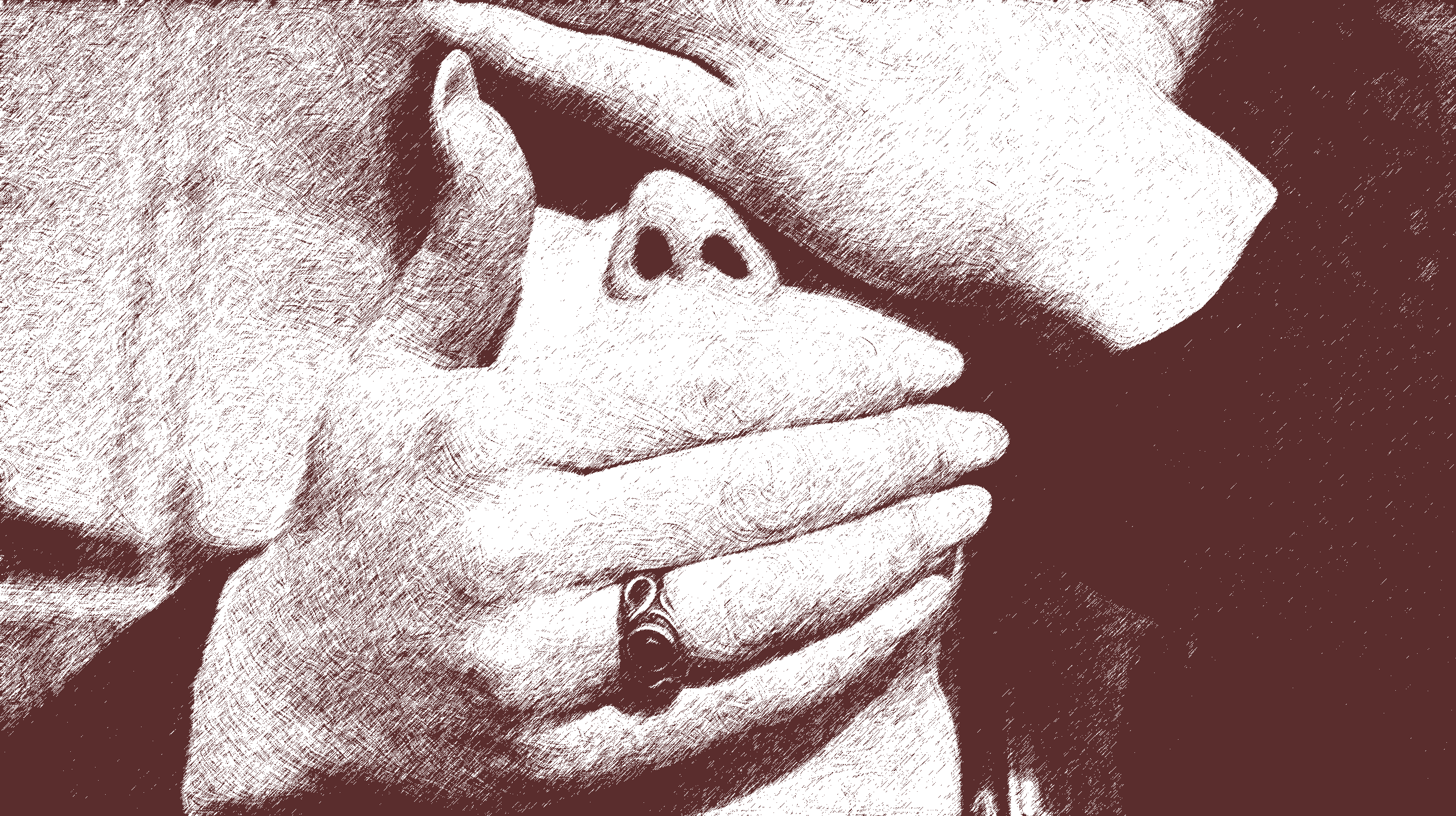 Birth of Sadie Poster I