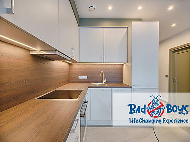 大廈滅蟲|物業滅蟲|Bad Boys Pest Control設施及物業管理蟲害防治03.jpg