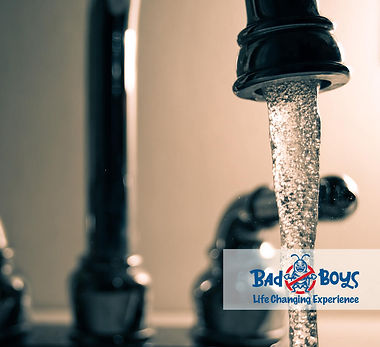 殺白蟻|如何消滅白蟻|Bad Boys Pest Control除白蟻公司01