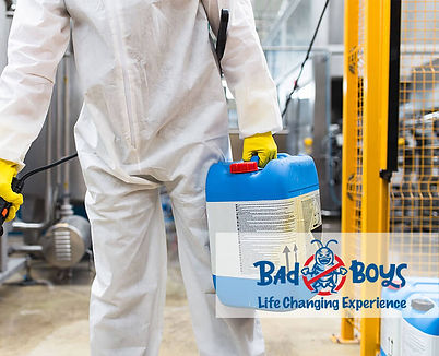 新屋滅蟲|入伙前滅蟲|Bad Boys Pest Control裝修後滅蟲04.jpg