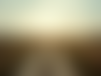 Pathway Mapping: Options for Rural Community Support