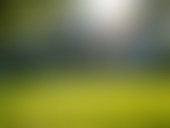 How to Sell Your Home Fast in South Carolina