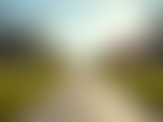 Understanding Market Trends in Georgia Real Estate