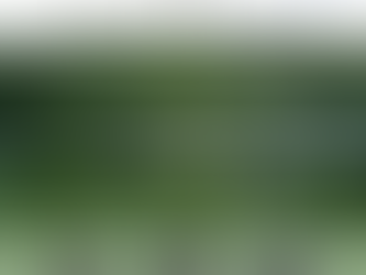 Power On Tecnologia assina contrato com LEM - Suíça