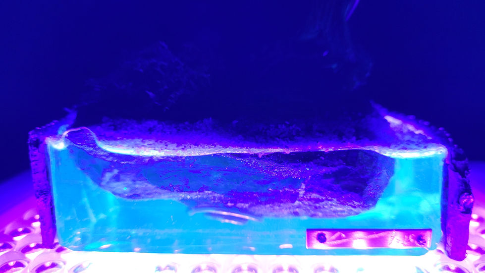 20251013_224431