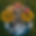 Untitled design (2).png
